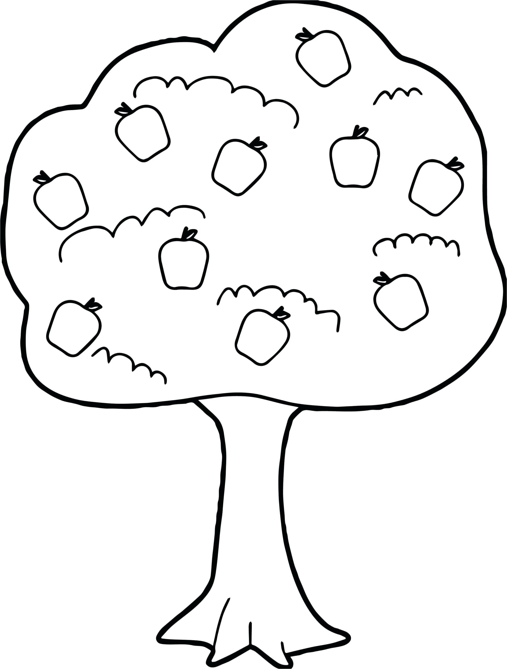 UKG Drawing Skill