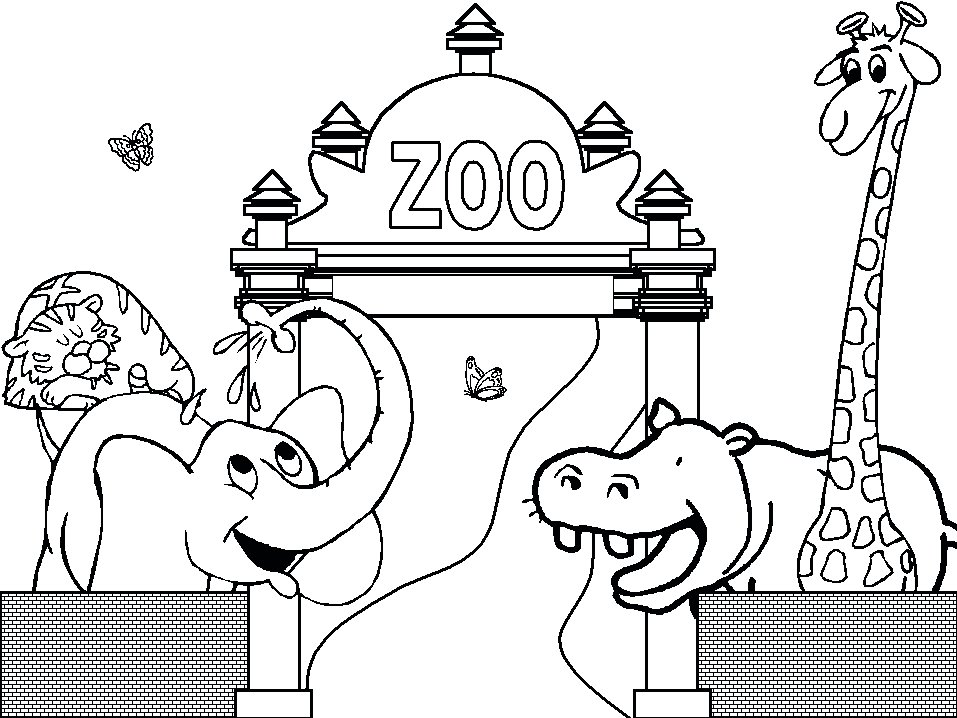 Zoo Drawing Skill