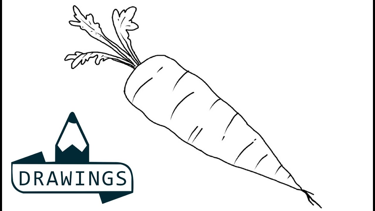 Carrot Drawing Skill