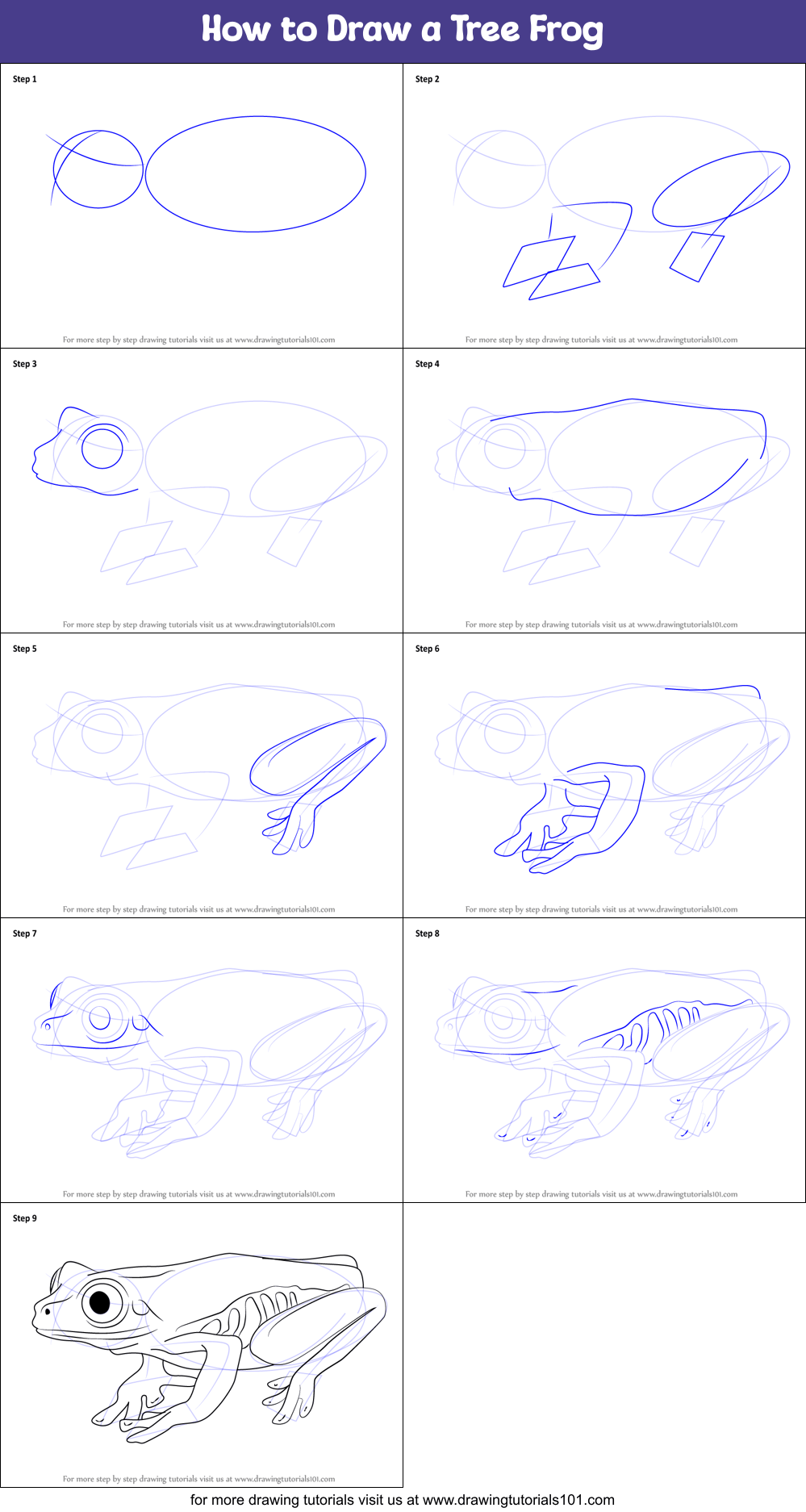 How to Draw a Tree Frog printable step by step drawing sheet