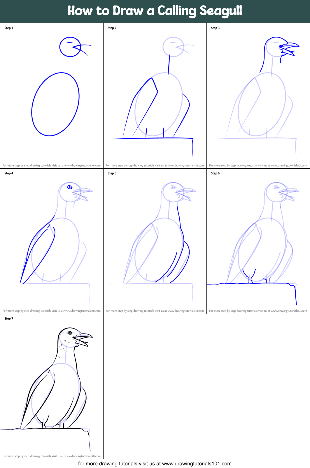 How to Draw a Calling Seagull printable step by step drawing sheet
