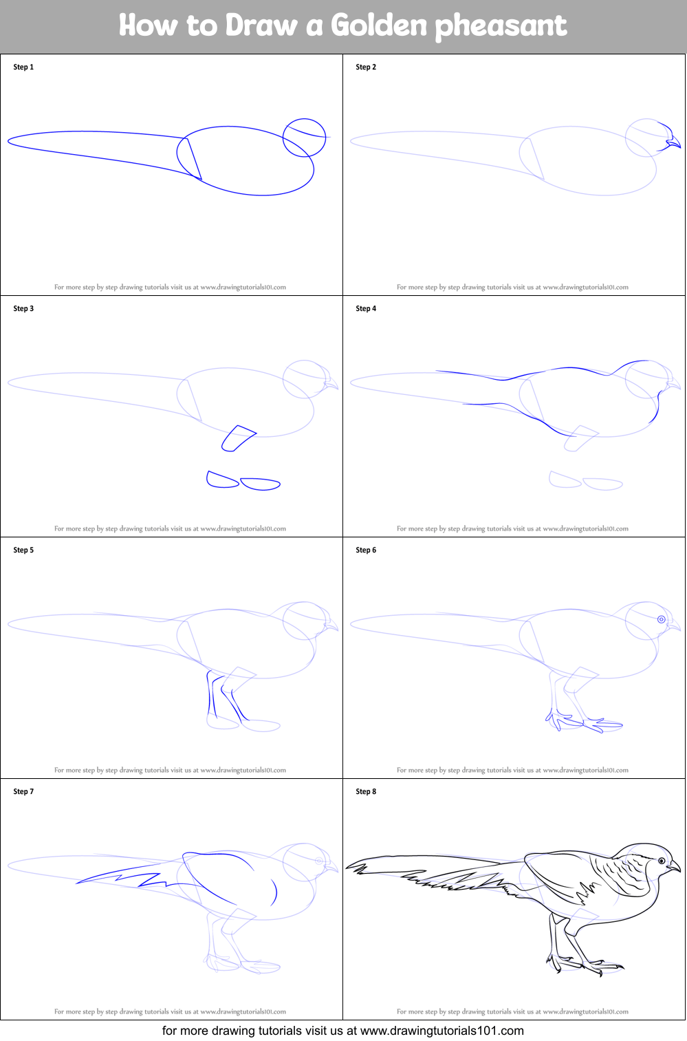 How to Draw a Golden pheasant printable step by step drawing sheet