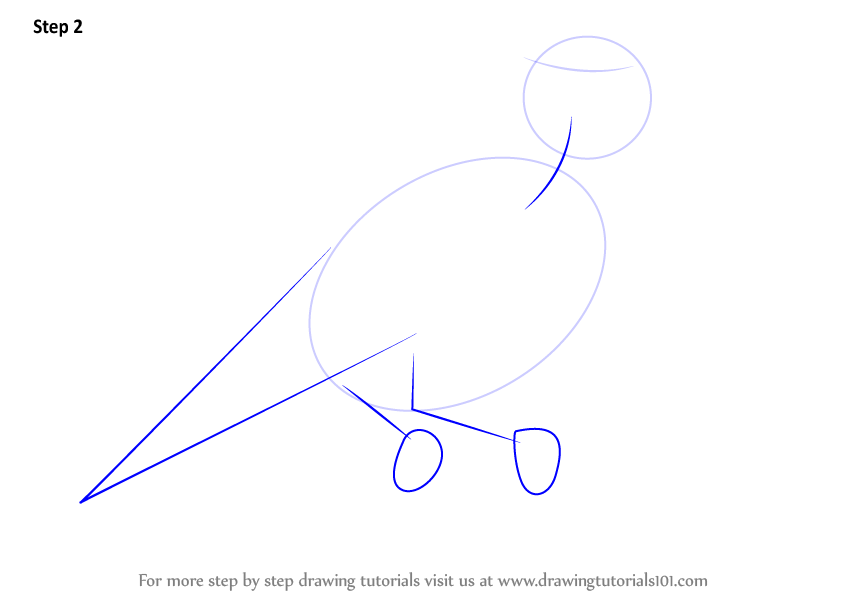 Step by Step How to Draw a Lark Bunting
