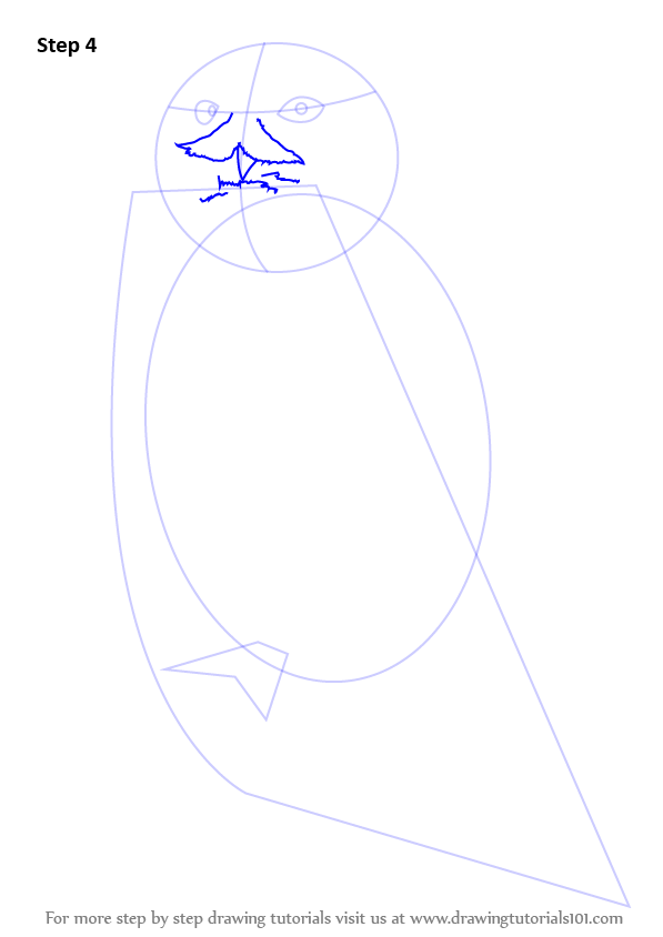Step by Step How to Draw a Snowy Owl