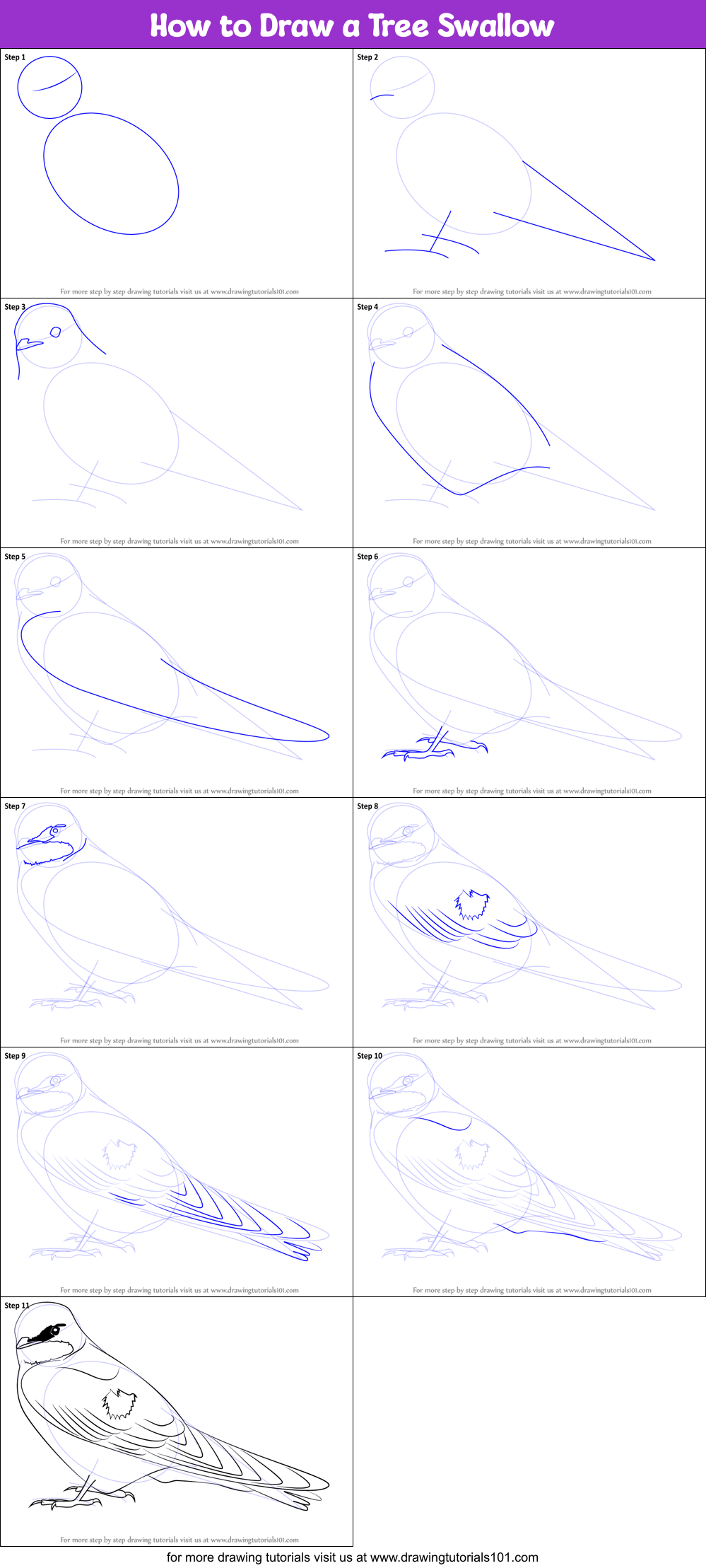 How to Draw a Tree Swallow printable step by step drawing sheet