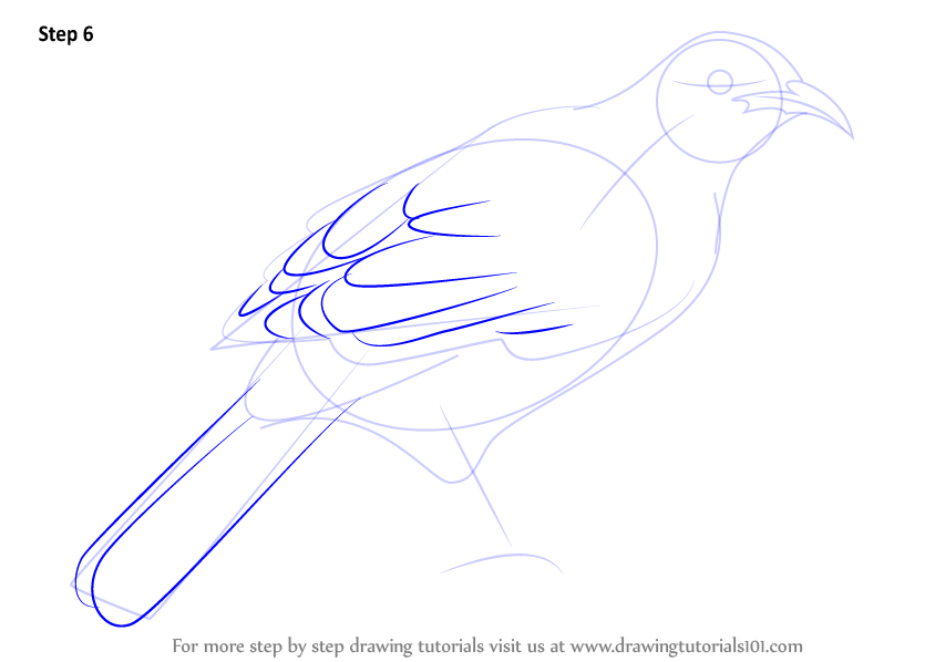 Line Drawing A Guide For Art Students