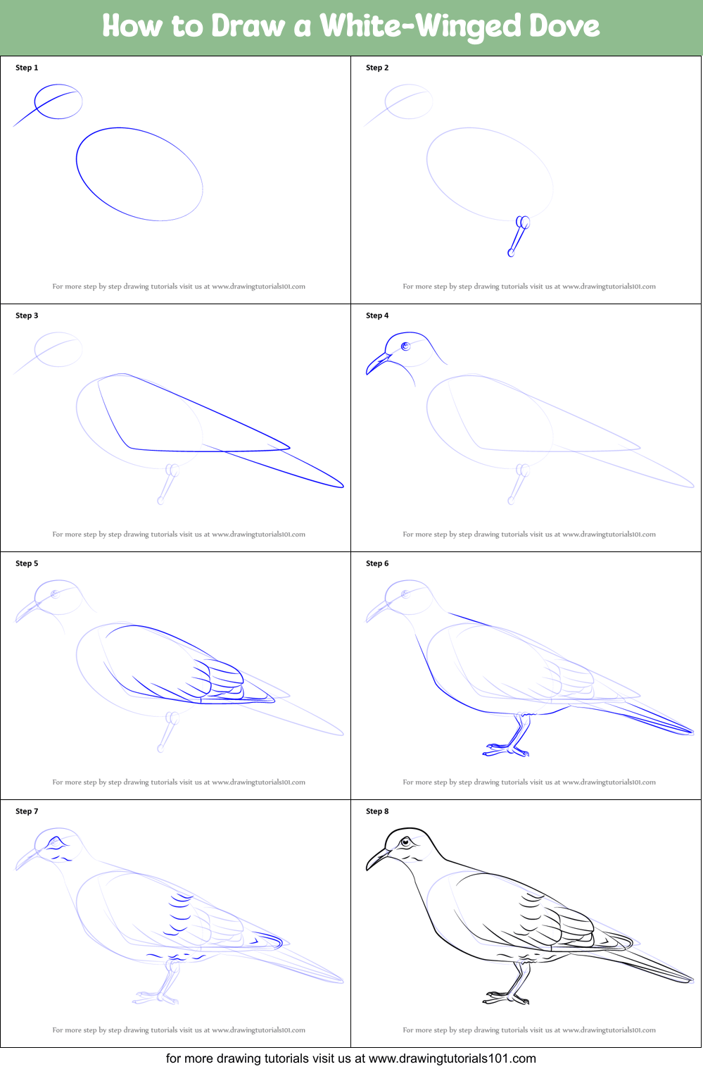 How to Draw a WhiteWinged Dove printable step by step drawing sheet