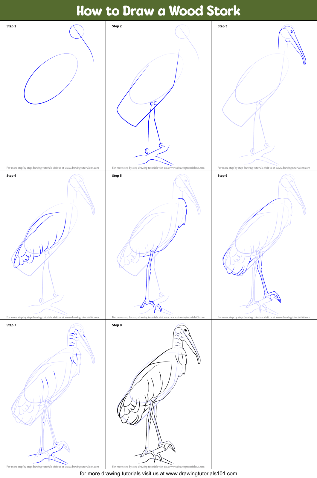 How to Draw a Wood Stork (Birds) Step by Step