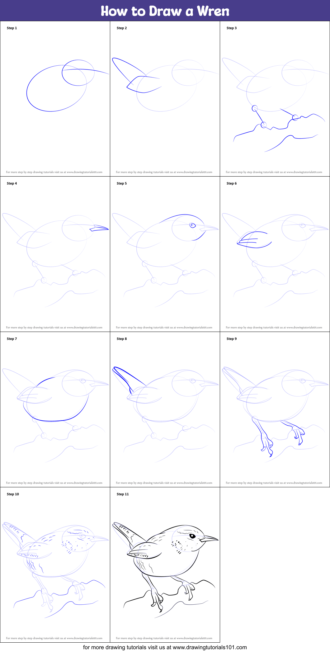 How to Draw a Wren printable step by step drawing sheet