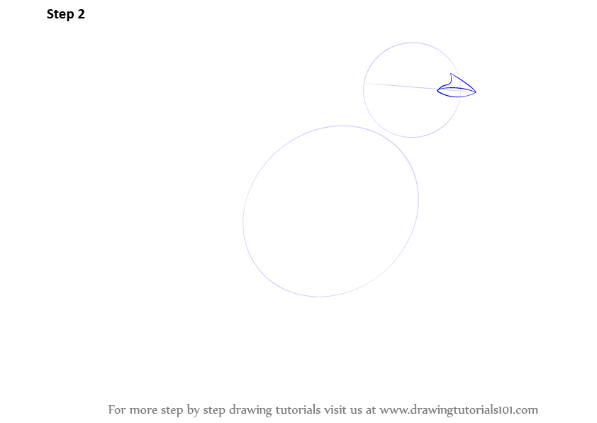 How to Draw a Yellowhammer (Birds) Step by Step
