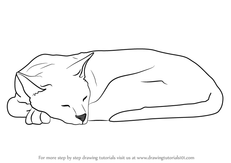 Learn How to Draw a Sleeping Cat (Cats) Step by Step