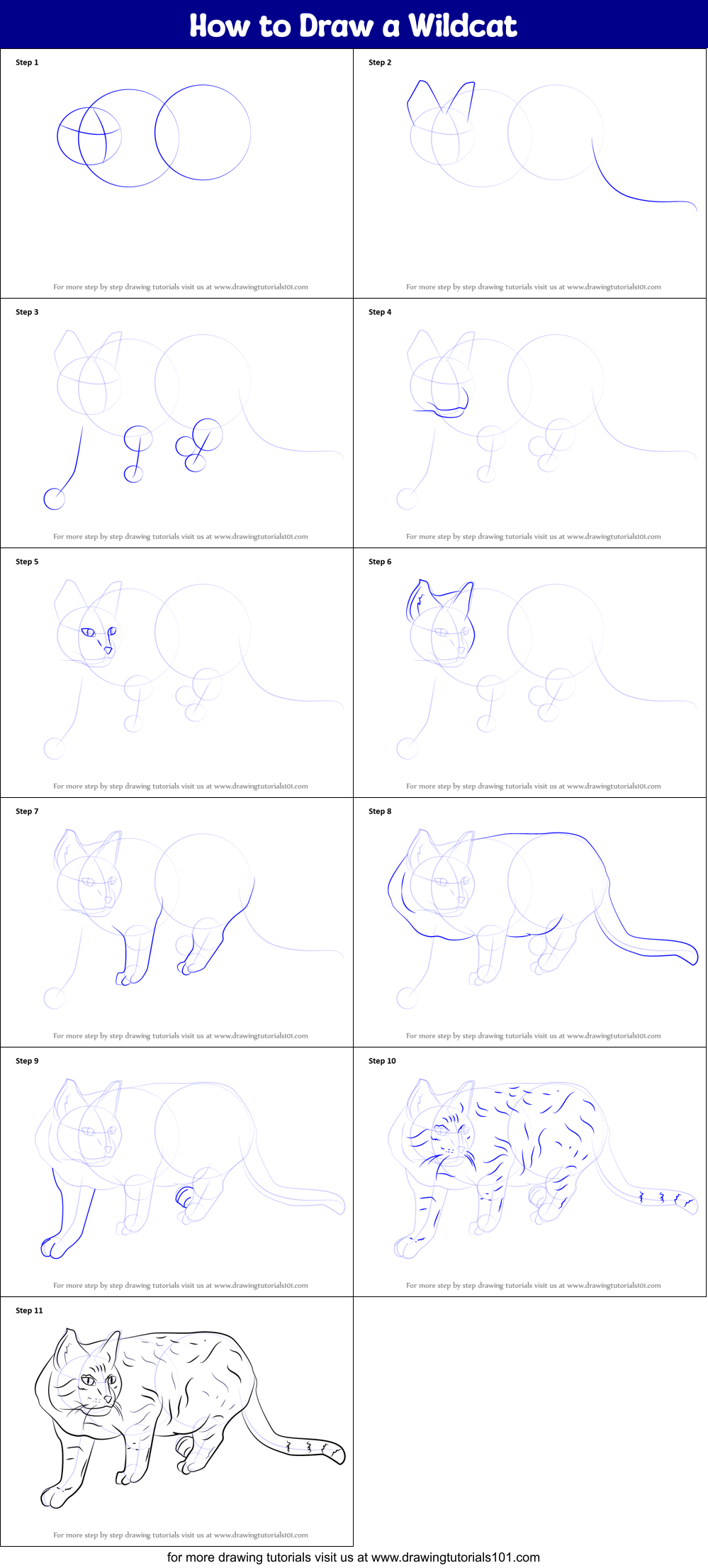 How to Draw a Wildcat printable step by step drawing sheet