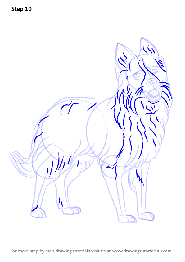 Step by Step How to Draw Border Collie