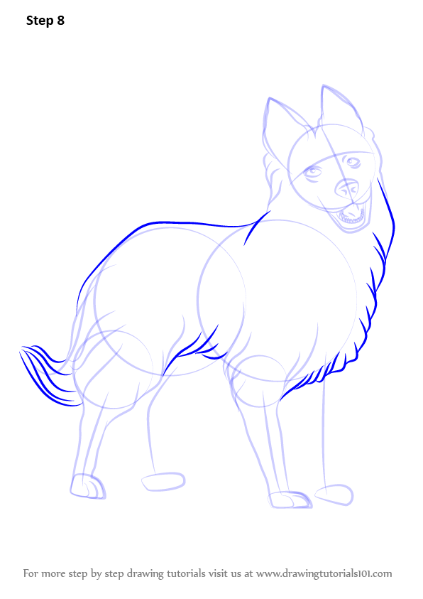 Step by Step How to Draw Border Collie