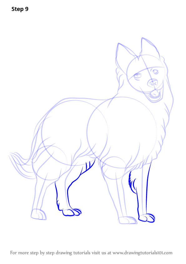 How to Draw Border Collie (Dogs) Step by Step