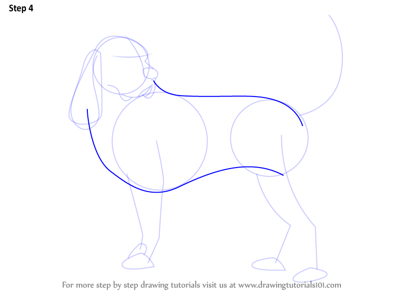 How to Draw a Hound Dog (Dogs) Step by Step