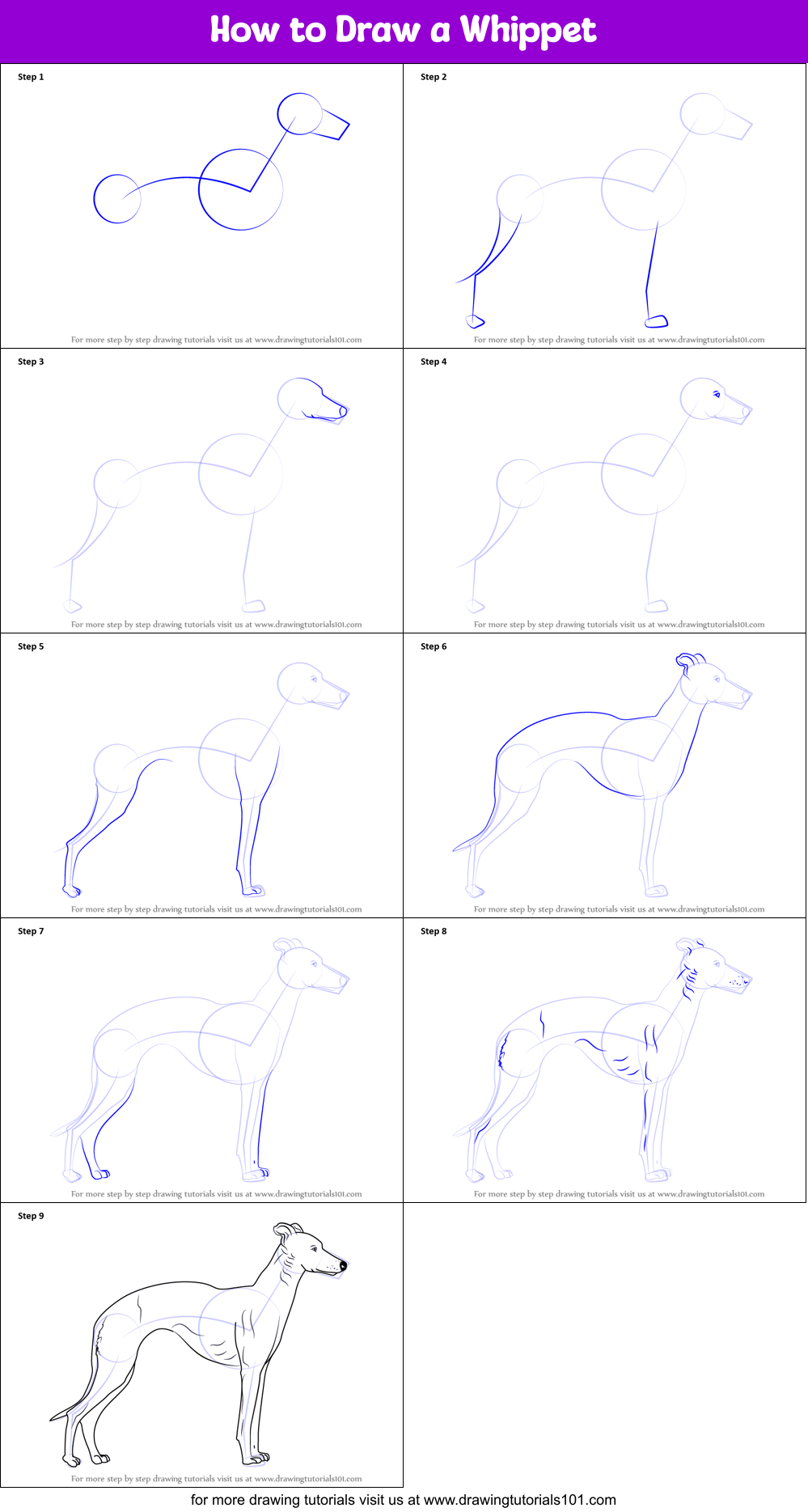 How to Draw a Whippet printable step by step drawing sheet