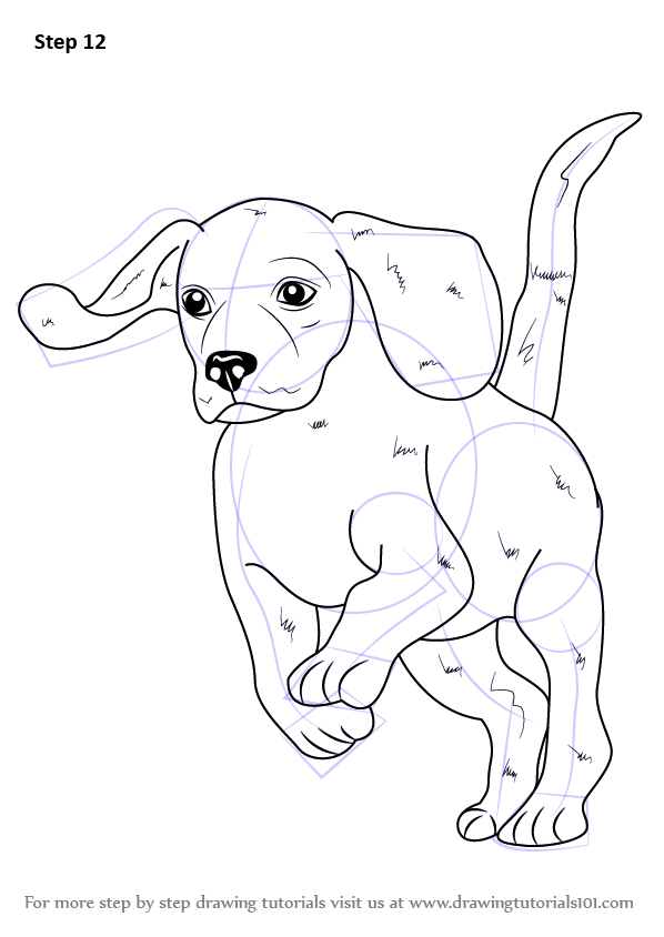Learn How to Draw a Beagle (Farm Animals) Step by Step