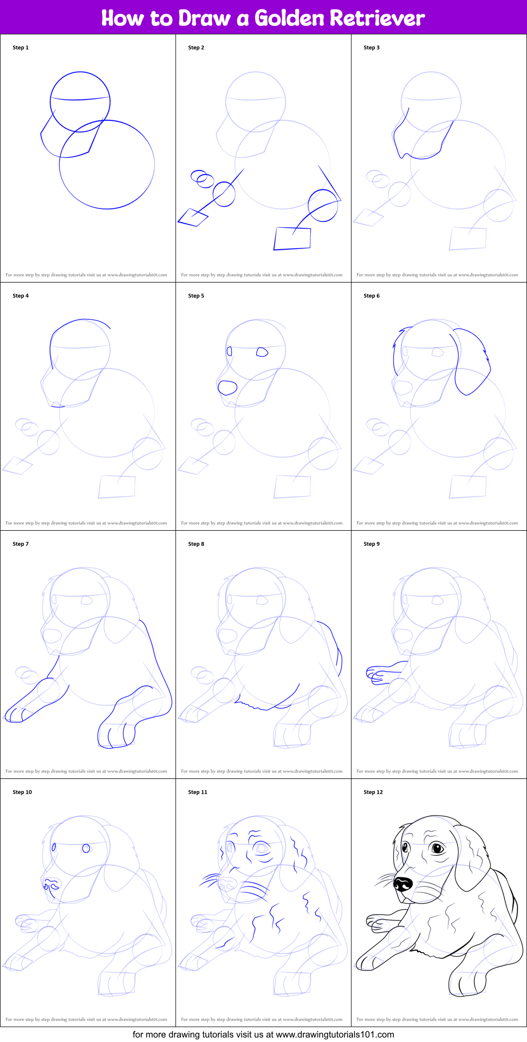 How to Draw a Golden Retriever printable step by step drawing sheet