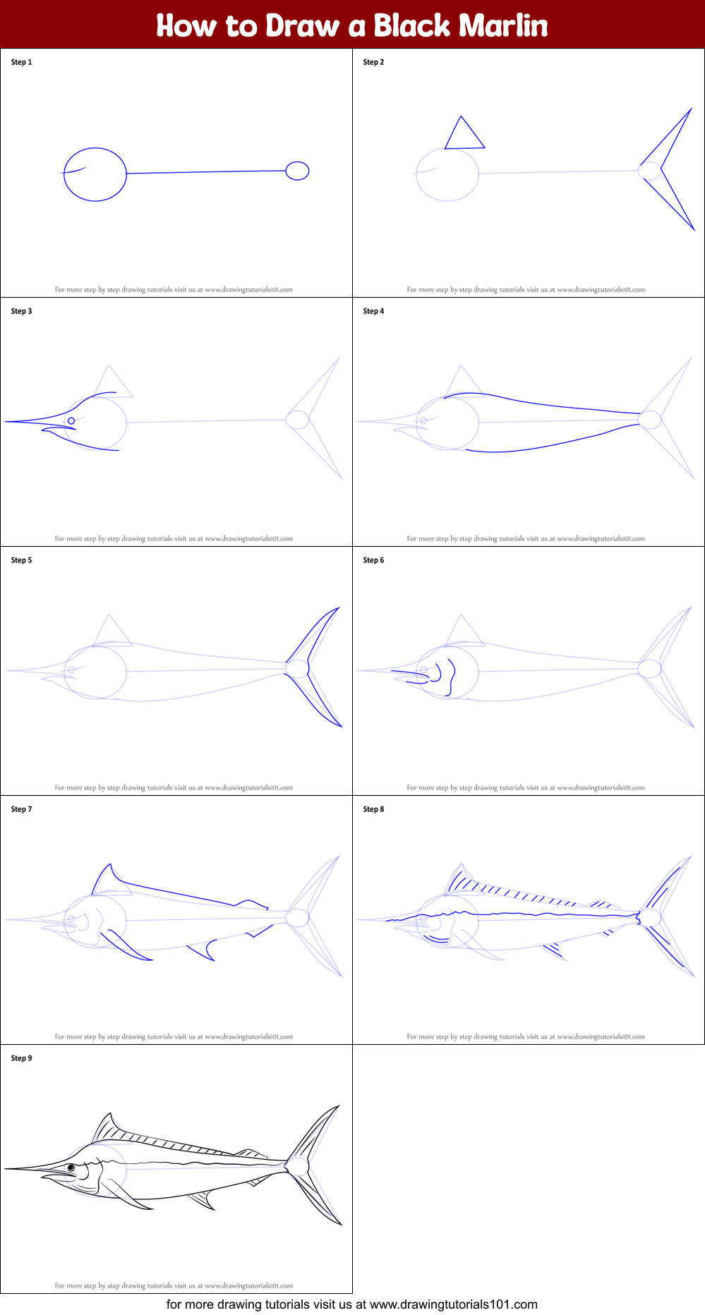 How to Draw a Black Marlin printable step by step drawing sheet