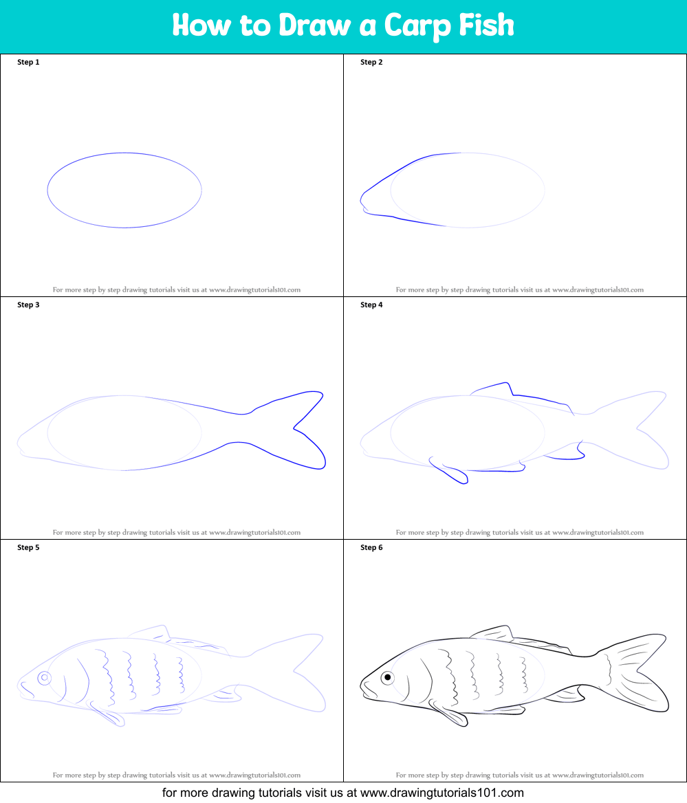 How to Draw a Carp Fish printable step by step drawing