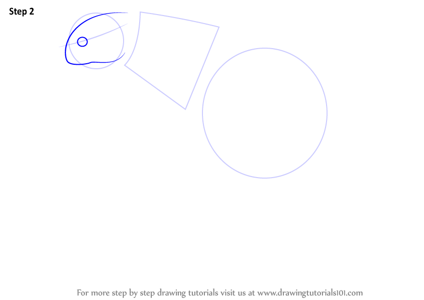 Learn How to Draw a Flea (Insects) Step by Step Drawing