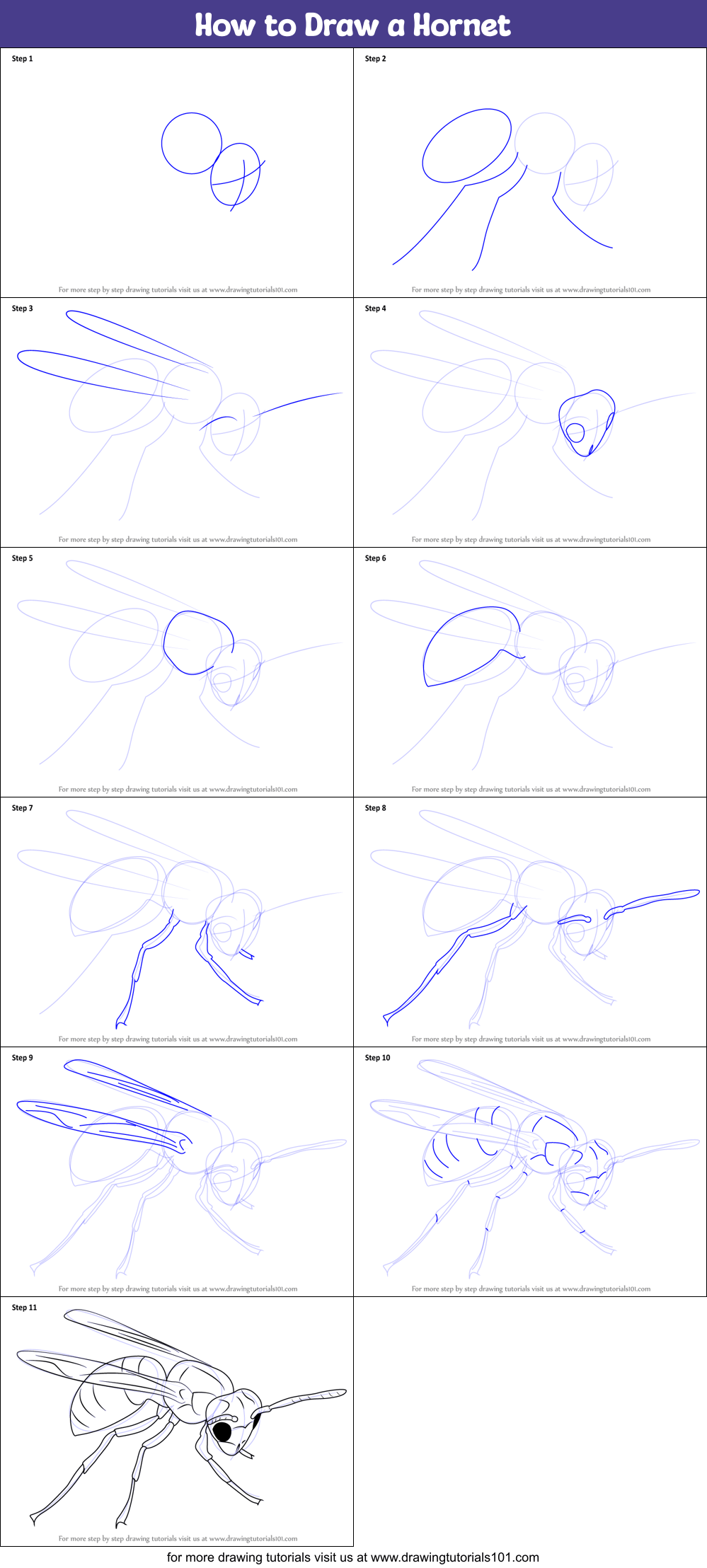 How to Draw a Hornet (Insects) Step by Step | DrawingTutorials101.com
