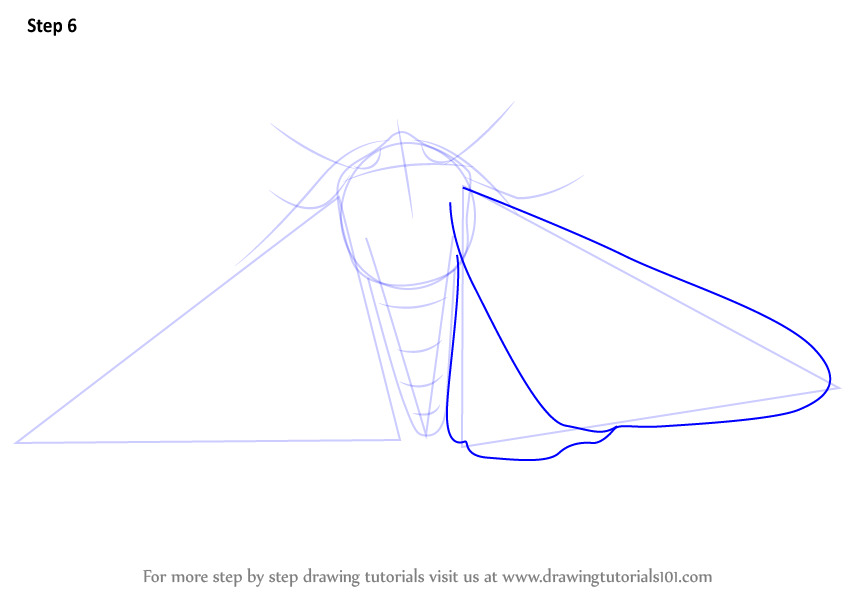 How to Draw a Peppered Moth (Insects) Step by Step