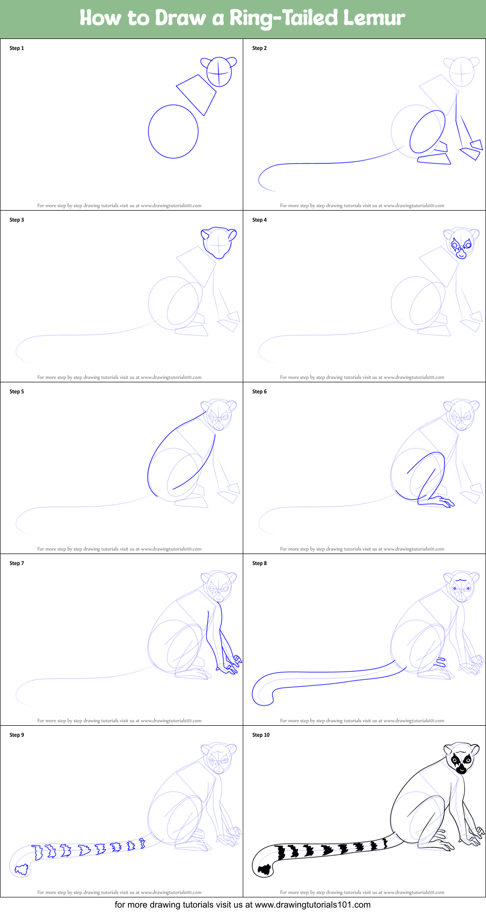 How to Draw a RingTailed Lemur printable step by step How to Draw a RingTailed Lemur printable step by step