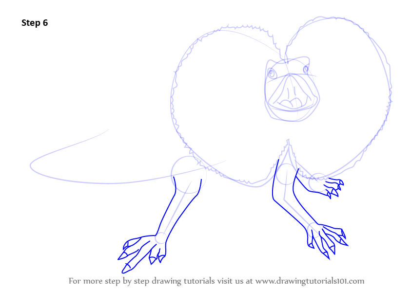 How to Draw a Frilled Lizard (Lizards) Step by Step