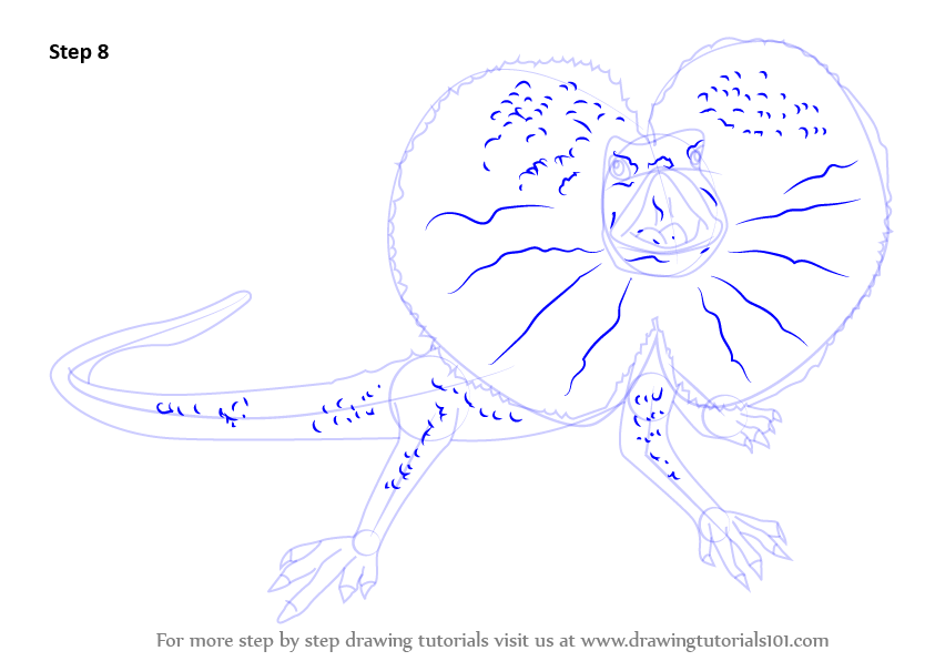How to Draw a Frilled Lizard (Lizards) Step by Step