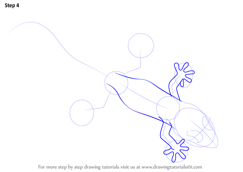 Step by Step How to Draw a Gecko