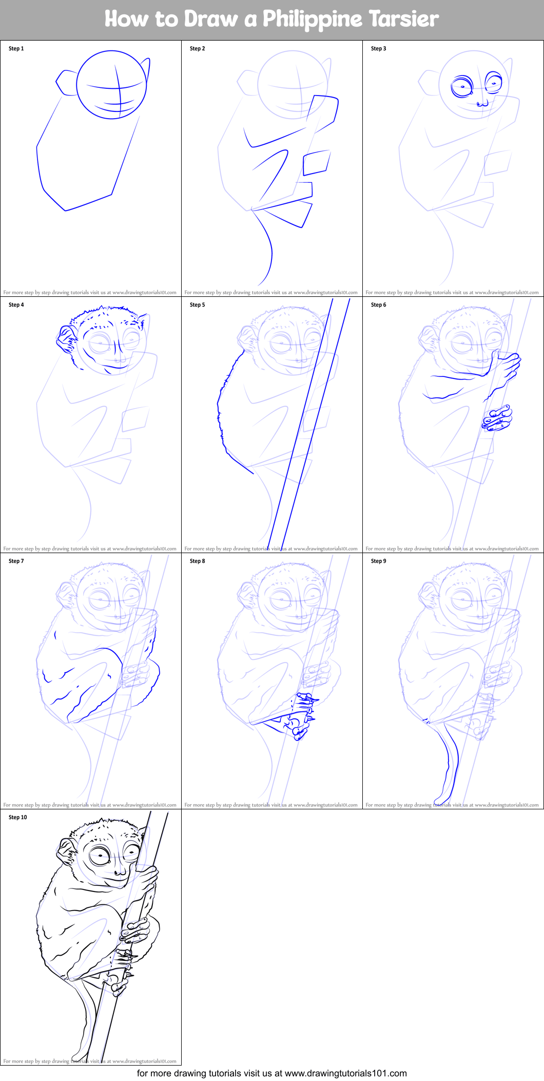 How to Draw a Philippine Tarsier printable step by step drawing sheet