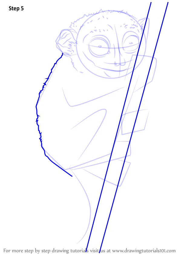 Learn How to Draw a Philippine Tarsier (Primates) Step by Step Drawing Tutorials