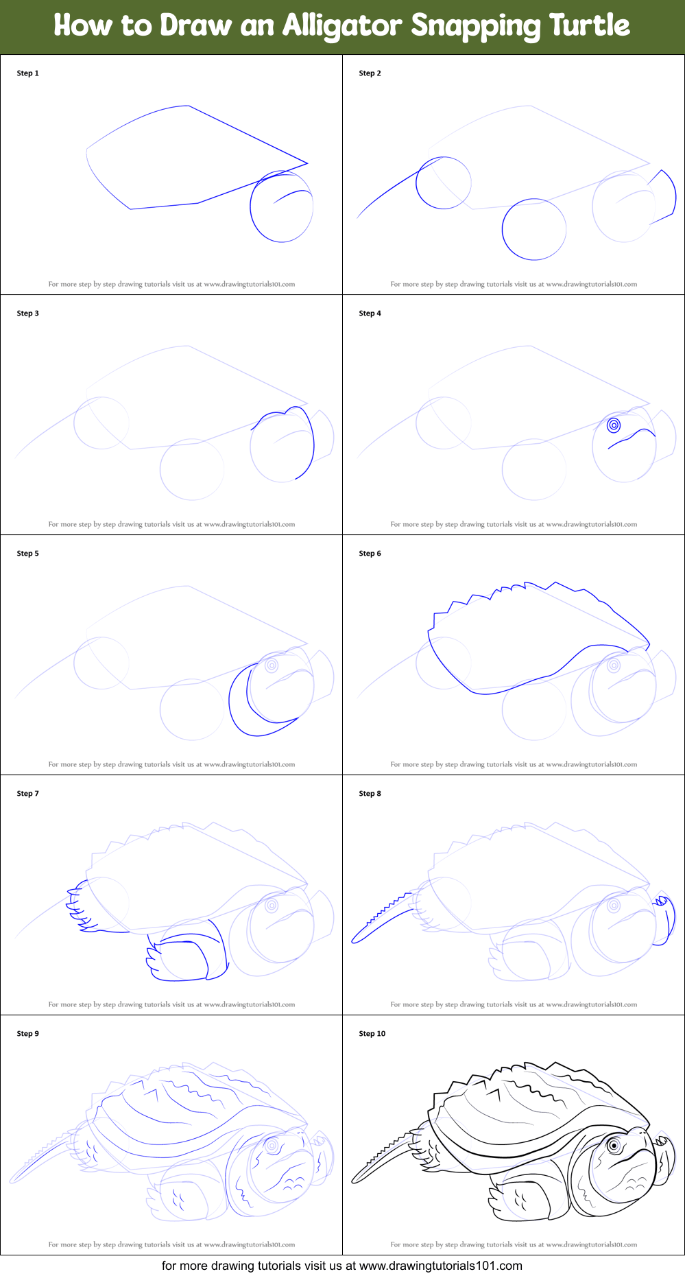 How to Draw an Alligator Snapping Turtle printable step by step drawing sheet