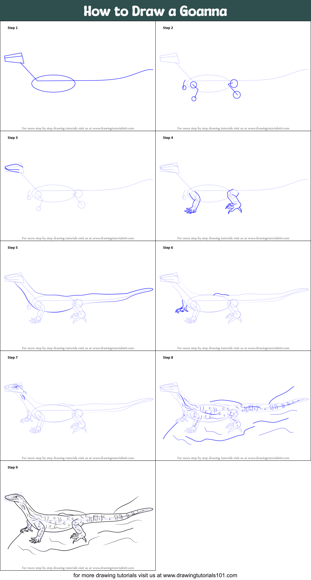 How to Draw a Goanna printable step by step drawing sheet