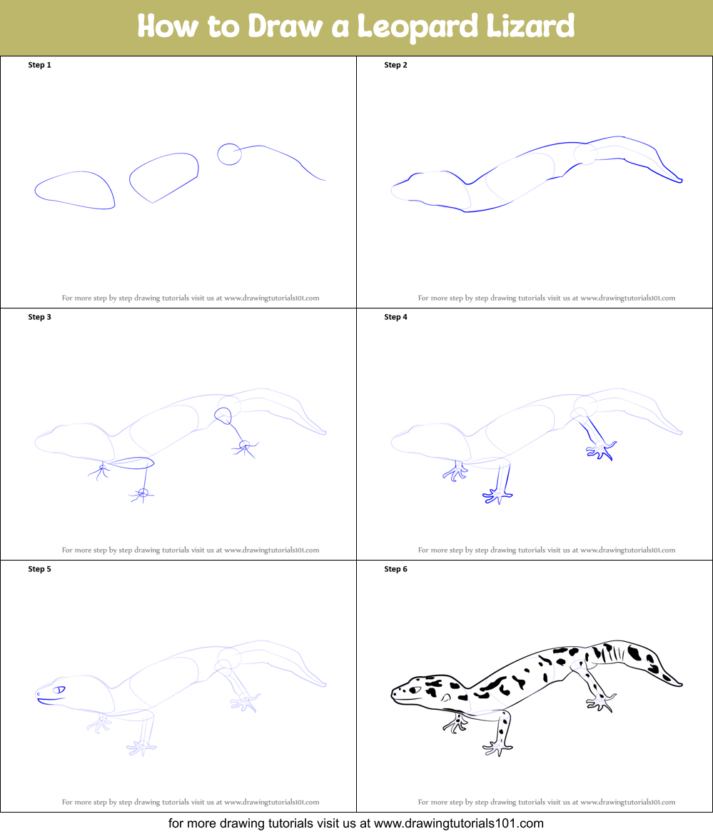 How to Draw a Leopard Lizard printable step by step drawing sheet