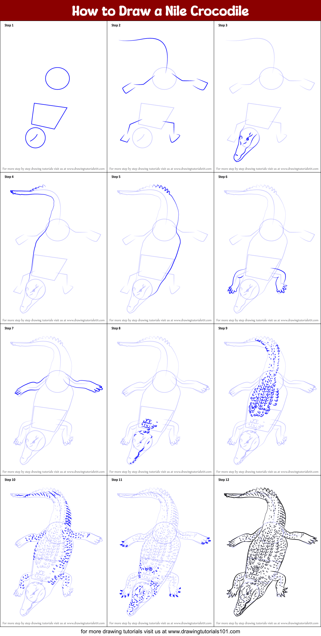 How to Draw a Nile Crocodile printable step by step drawing sheet