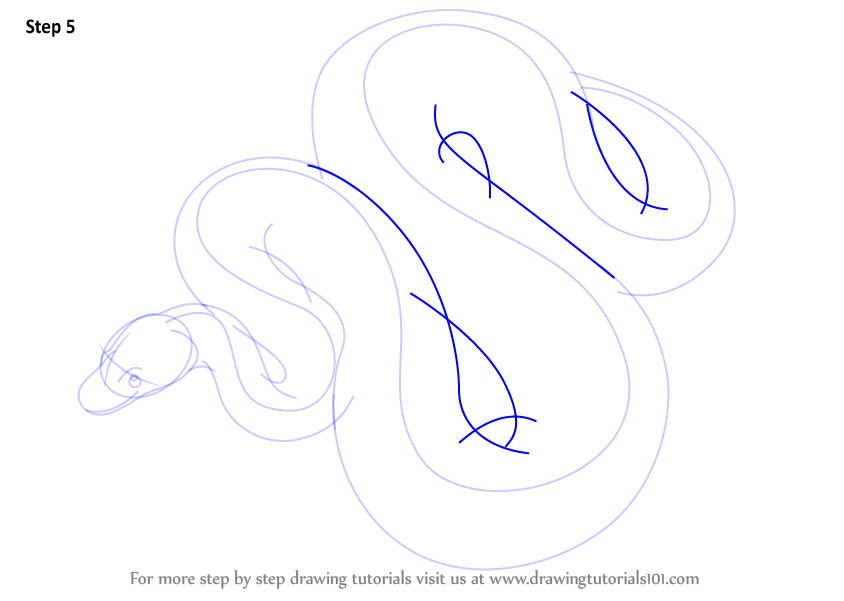 Learn How to Draw a Python (Reptiles) Step by Step Drawing Tutorials