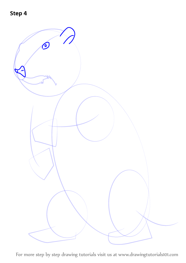 Step by Step How to Draw a Groundhog