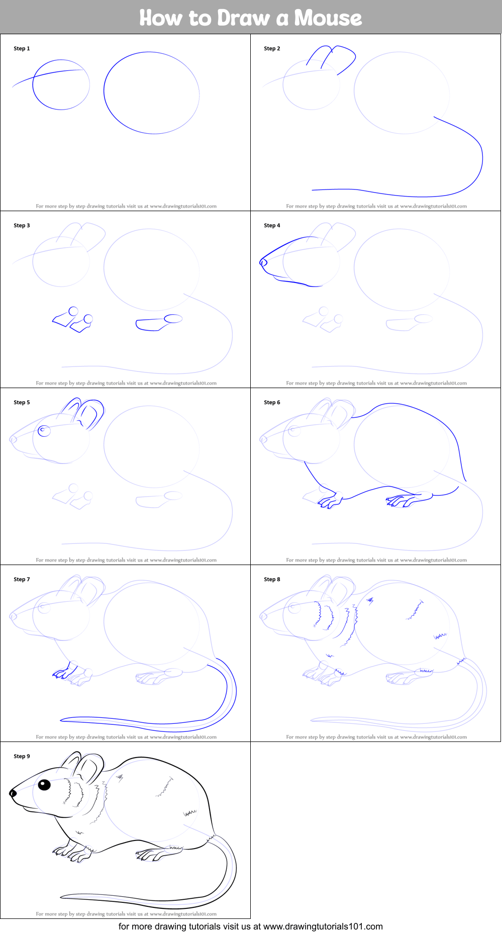 How to Draw a Mouse (Rodents) Step by Step