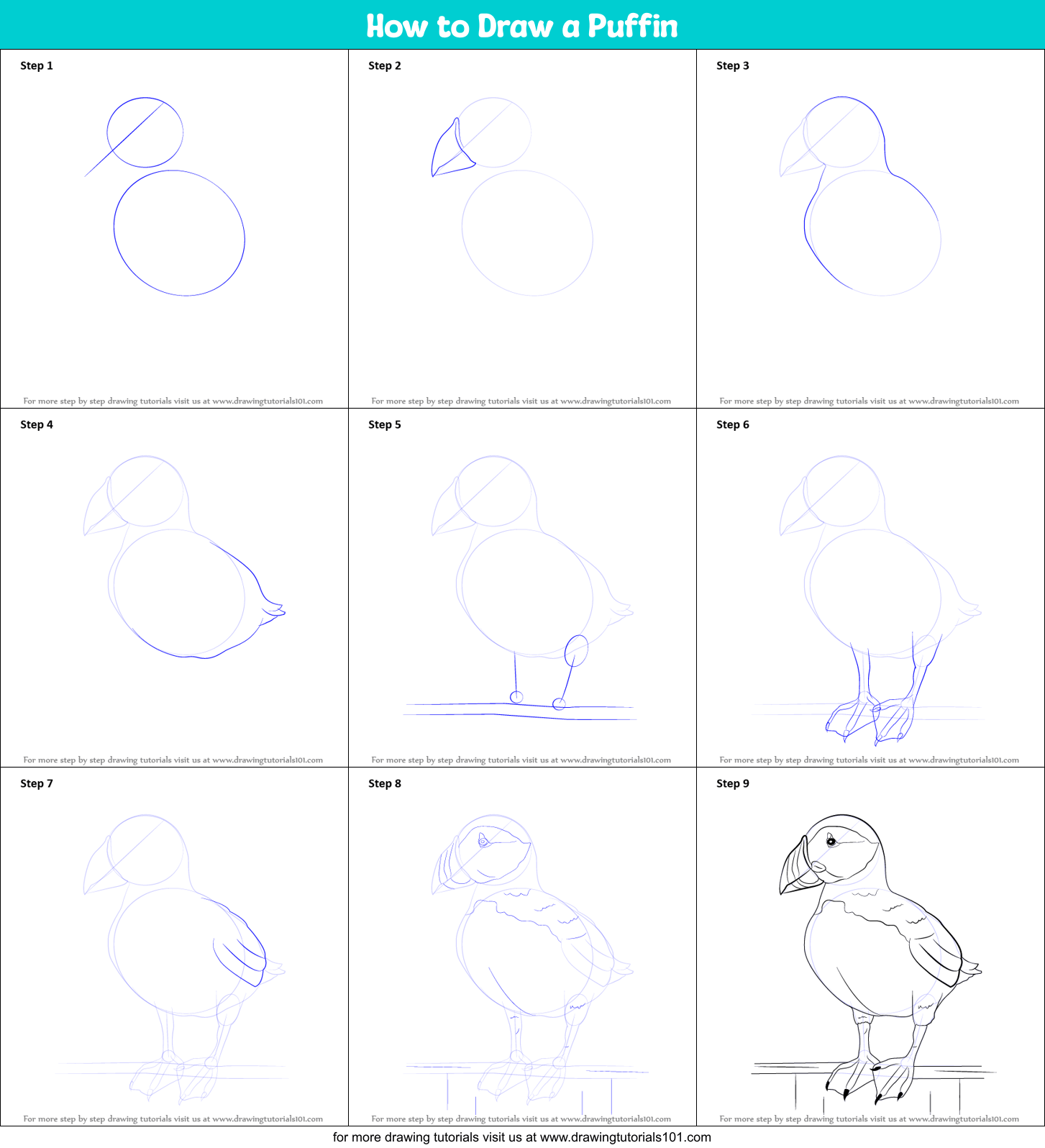How to Draw a Puffin printable step by step drawing sheet