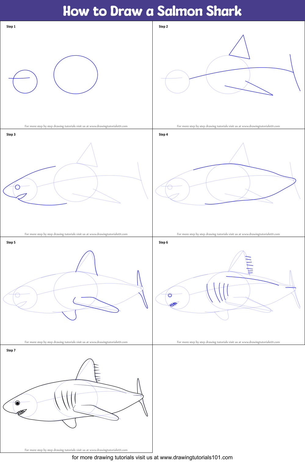 How to Draw a Salmon Shark printable step by step drawing sheet