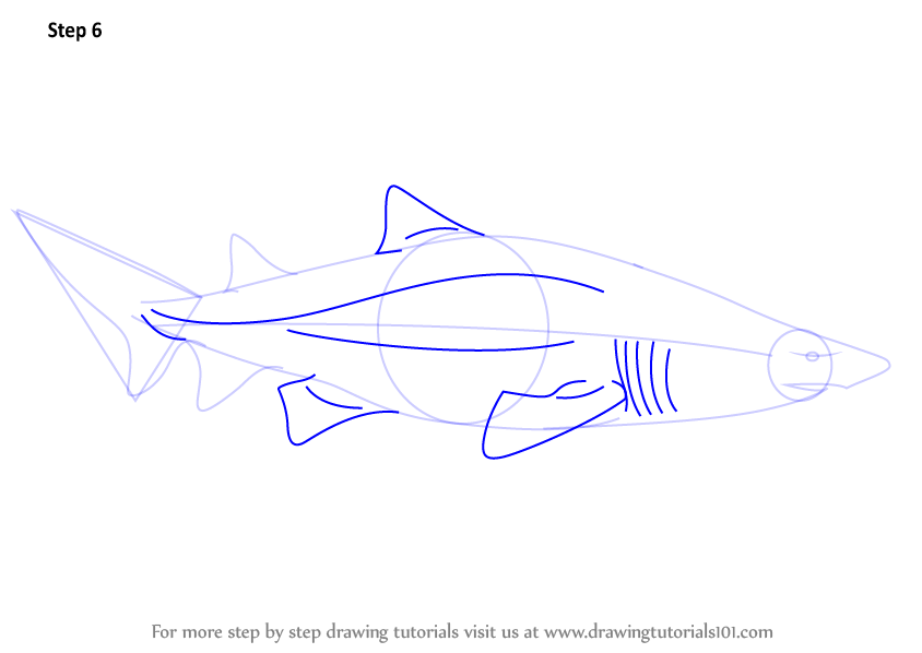 How To Draw A Shark Tail