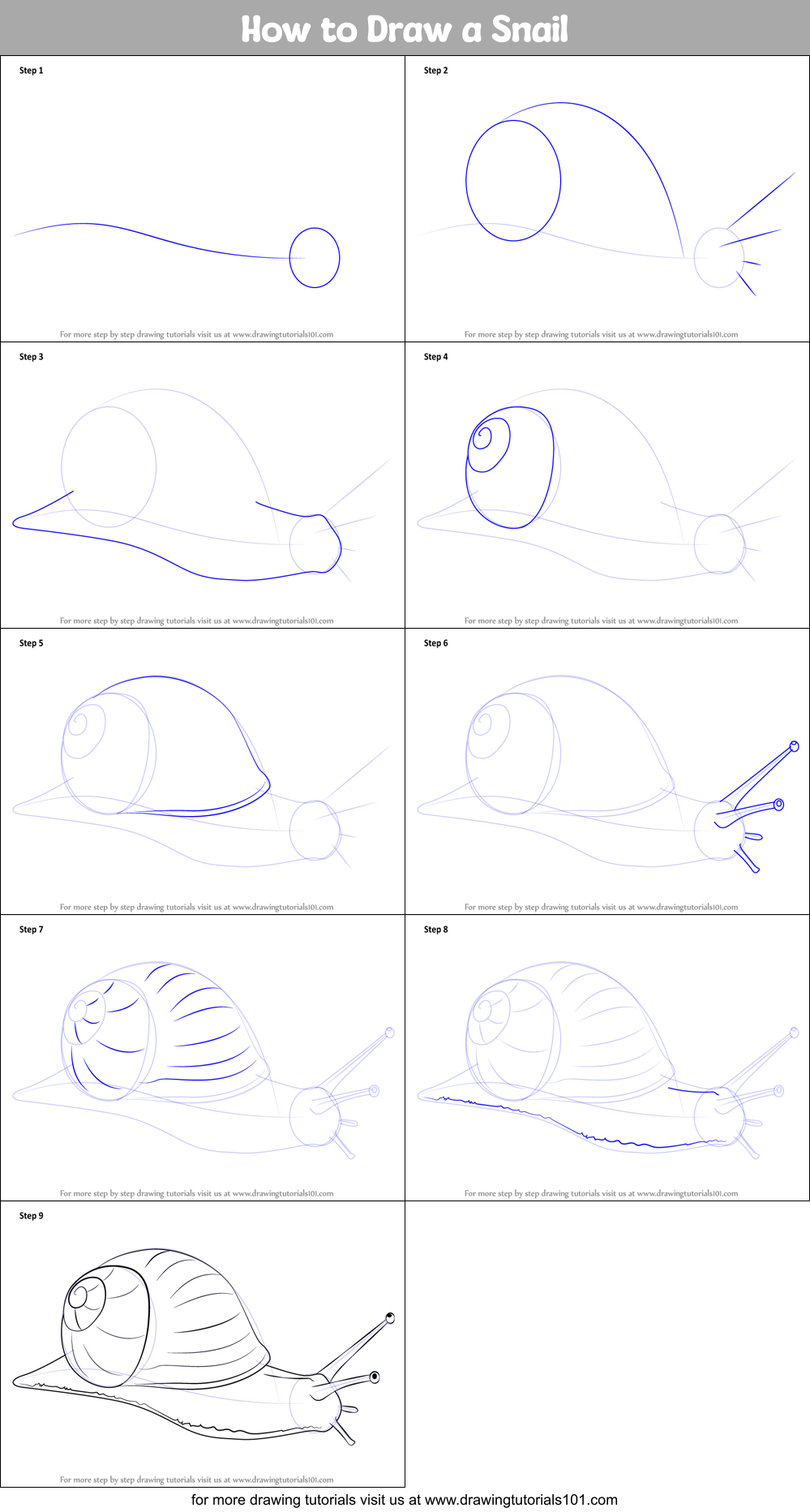 How to Draw a Snail (Snails) Step by Step