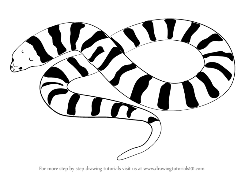 Learn How to Draw a Tiger Snake (Snakes) Step by Step