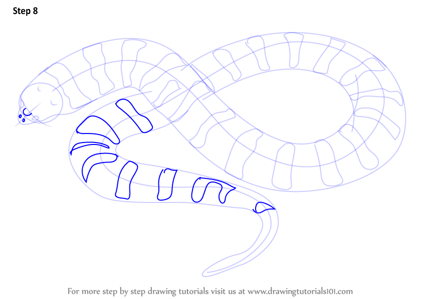 Learn How to Draw a Tiger Snake (Snakes) Step by Step