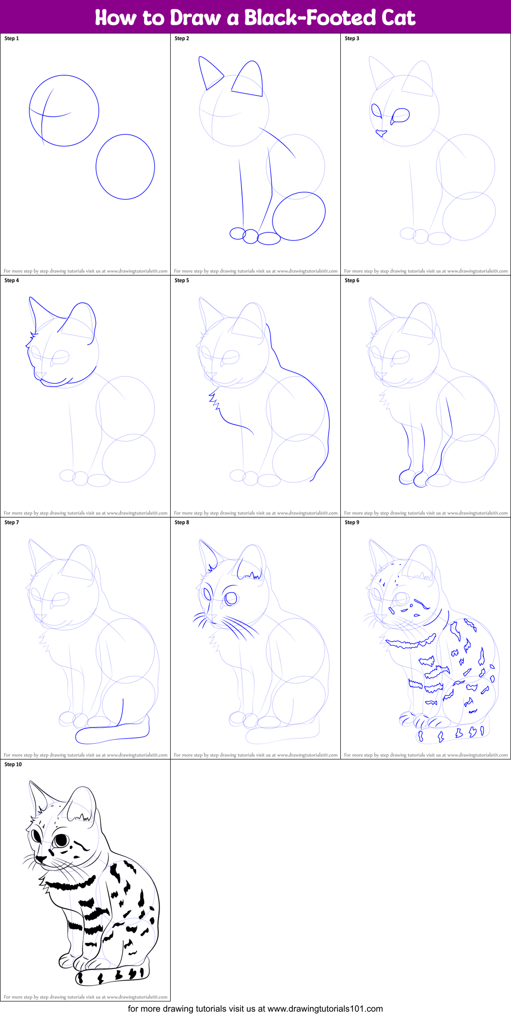 How to Draw a BlackFooted Cat printable step by step drawing sheet