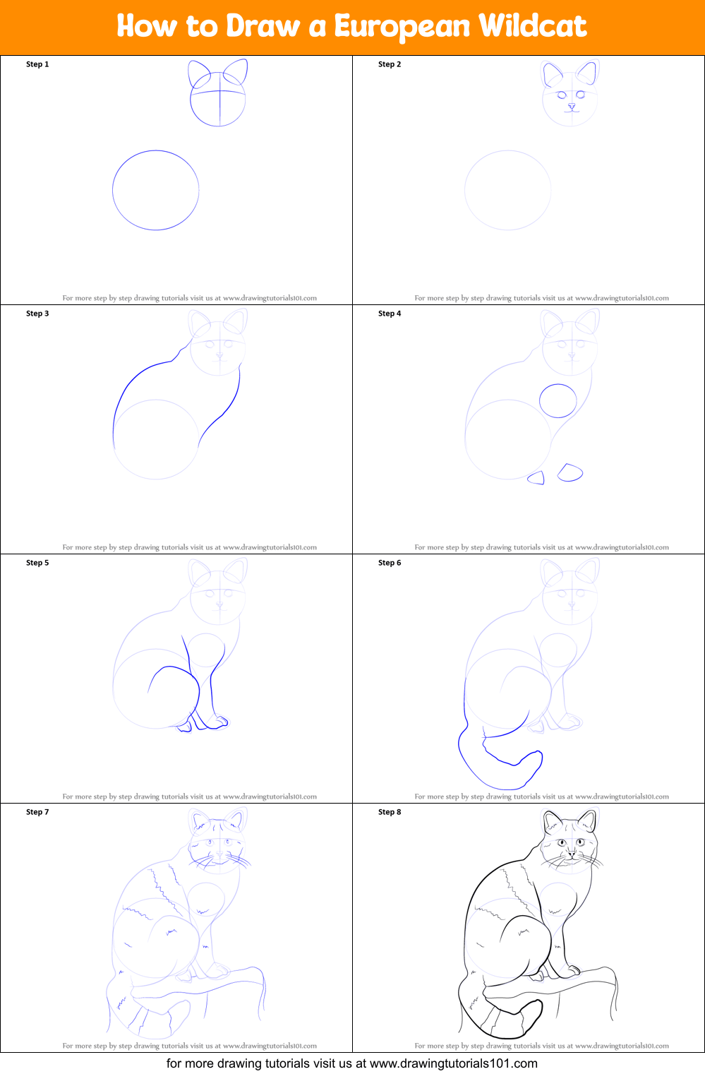 How to Draw a European Wildcat printable step by step drawing sheet