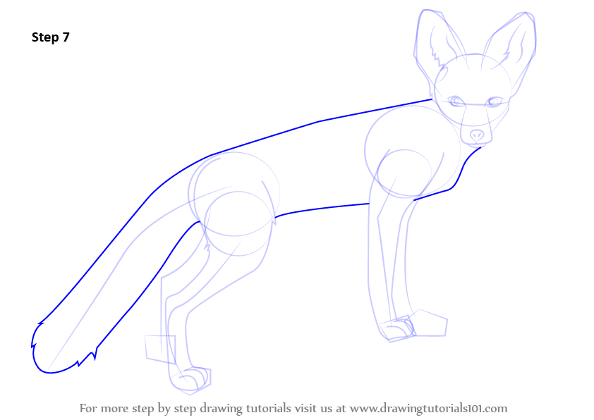 How to Draw a Kit Fox (Wild Animals) Step by Step